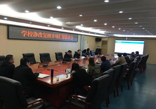 2019.3.10华亿网页版召开诊改复核分项汇报检查会